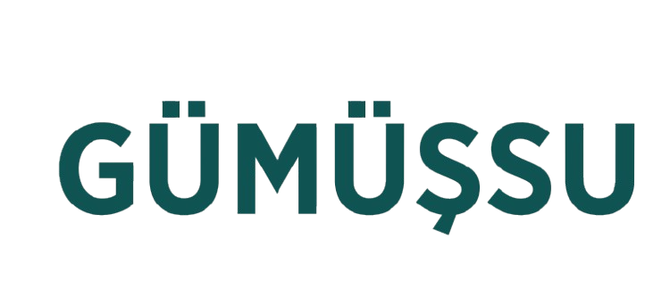 Gümüşsuyu